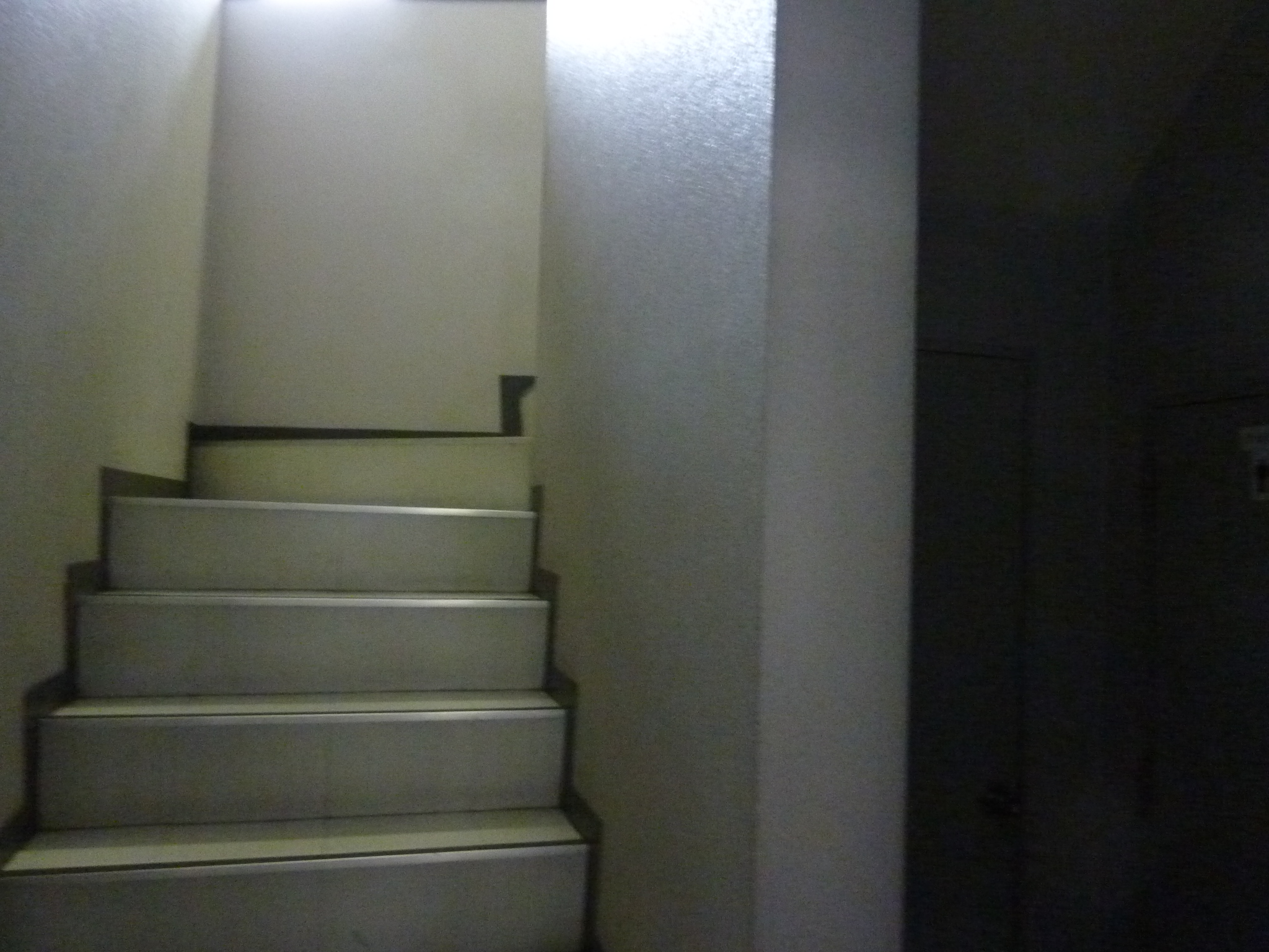 P1030847.JPG