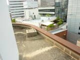 img0008.jpg