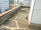 img0009.jpg