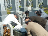 img0006.jpg
