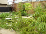 img0000.jpg