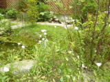 img0001.jpg