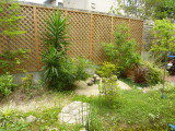 img0002.jpg