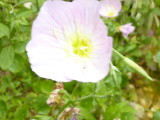 img0005.jpg