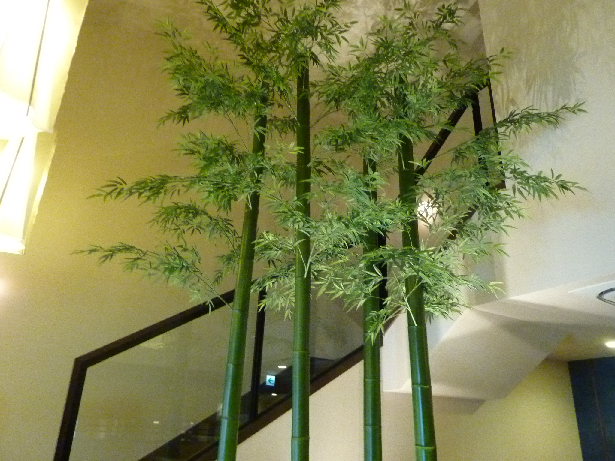 P1040312.JPG