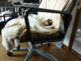 img0003.jpg