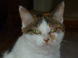img0007.jpg