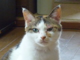 img0009.jpg