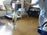 img0010.jpg