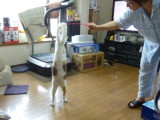 img0011.jpg