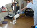 img0012.jpg