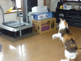 img0014.jpg