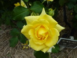 img0033.jpg