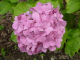 img0002.jpg