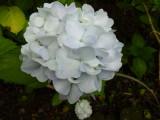 img0005.jpg