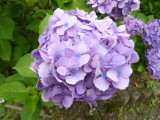img0015.jpg