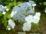 img0018.jpg