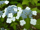img0019.jpg