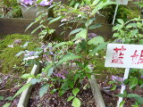 img0022.jpg