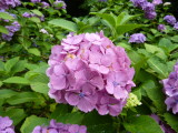 img0060.jpg