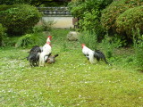 img0065.jpg