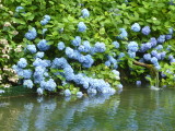 img0068.jpg