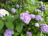 img0083.jpg