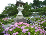 img0084.jpg