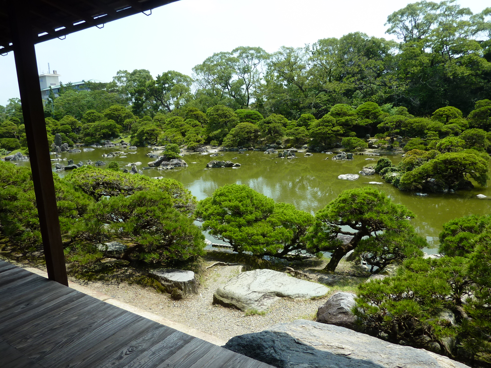 P1040815.JPG