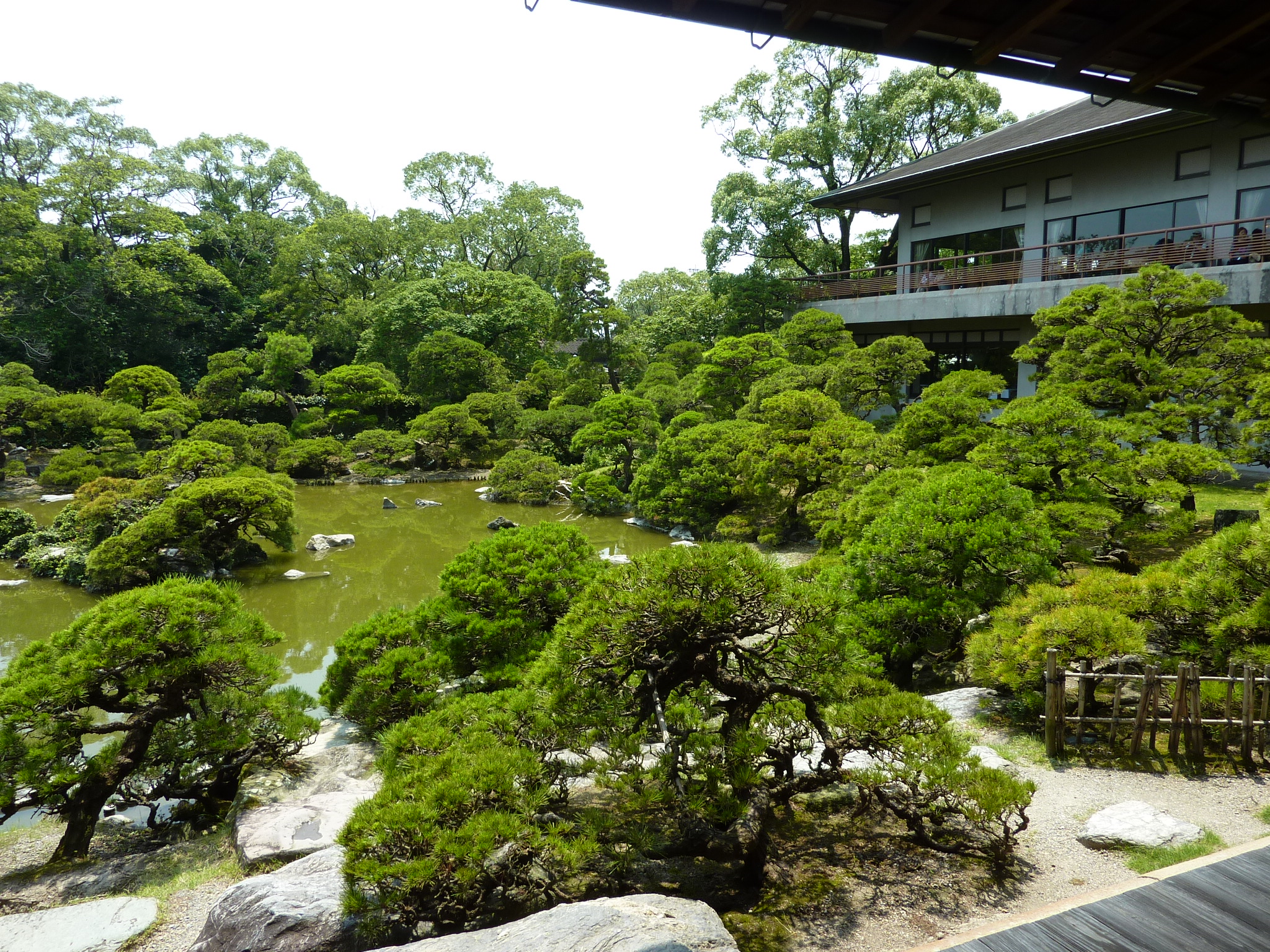 P1040816.JPG