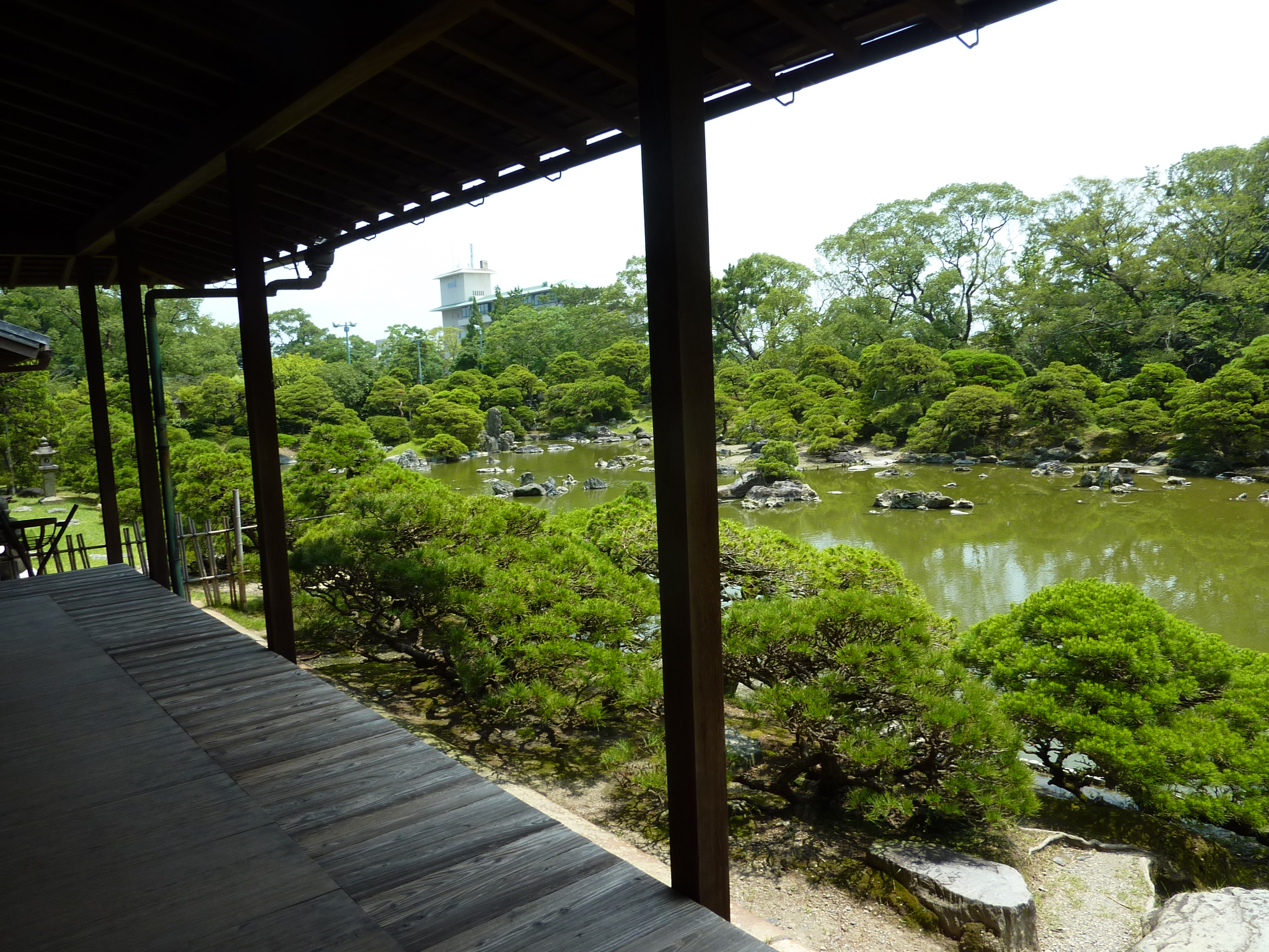 P1040817.JPG