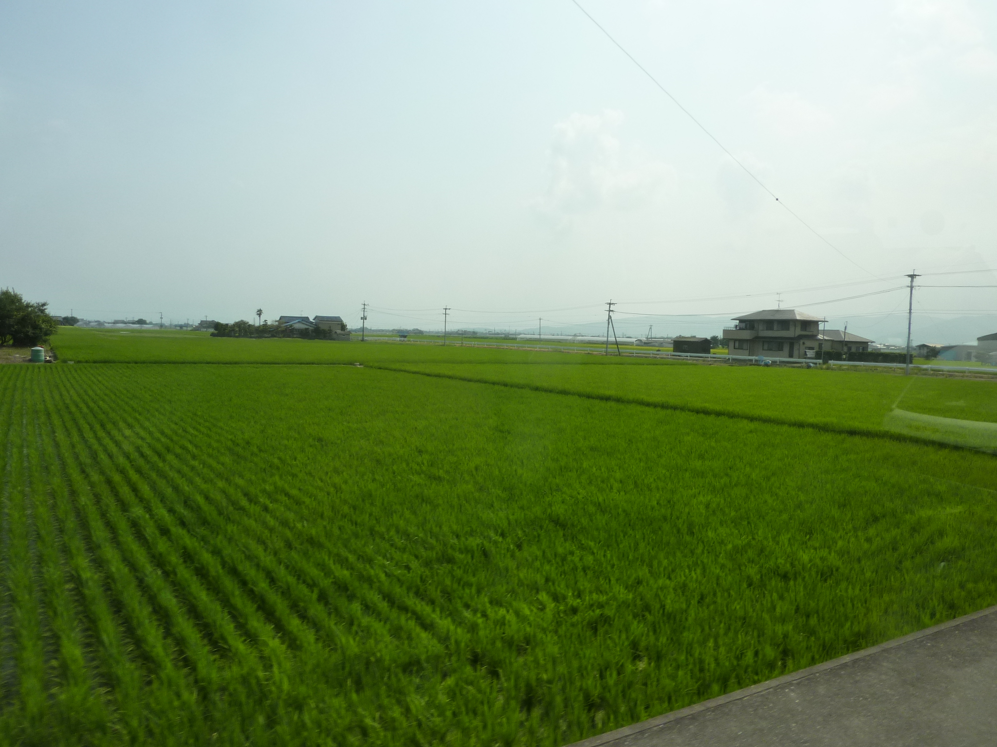 P1040841.JPG