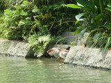 img0060.jpg