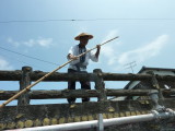 img0082.jpg