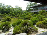 img0108.jpg