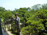 img0115.jpg