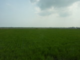 img0127.jpg