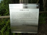 img0172.jpg
