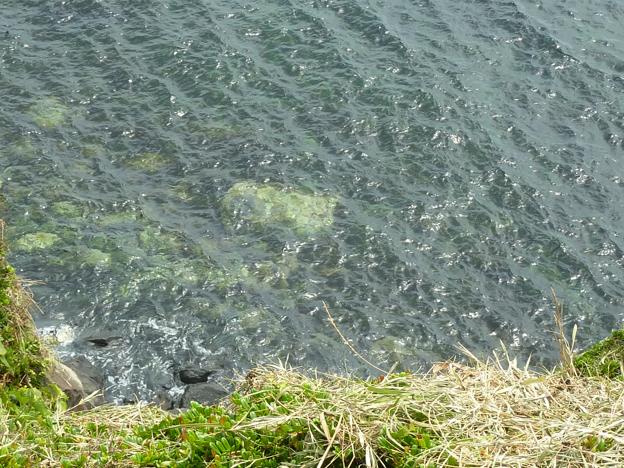 P1050038.JPG