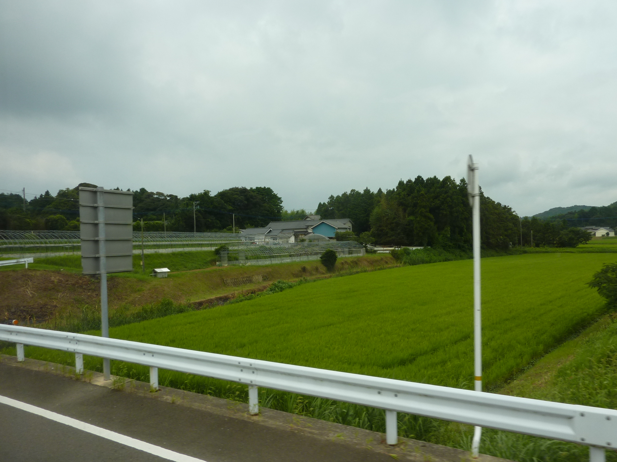 P1050054.JPG