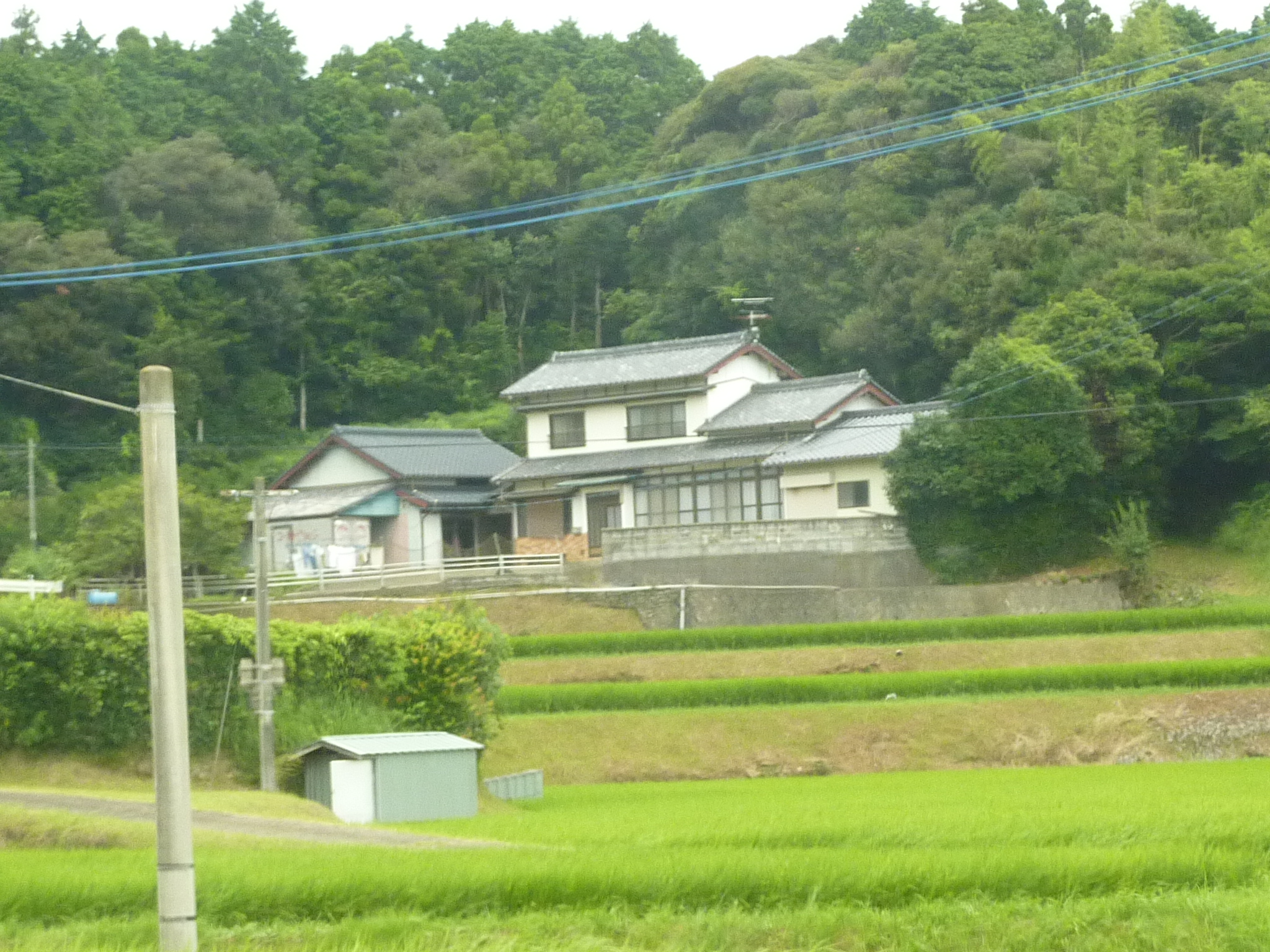 P1050056.JPG