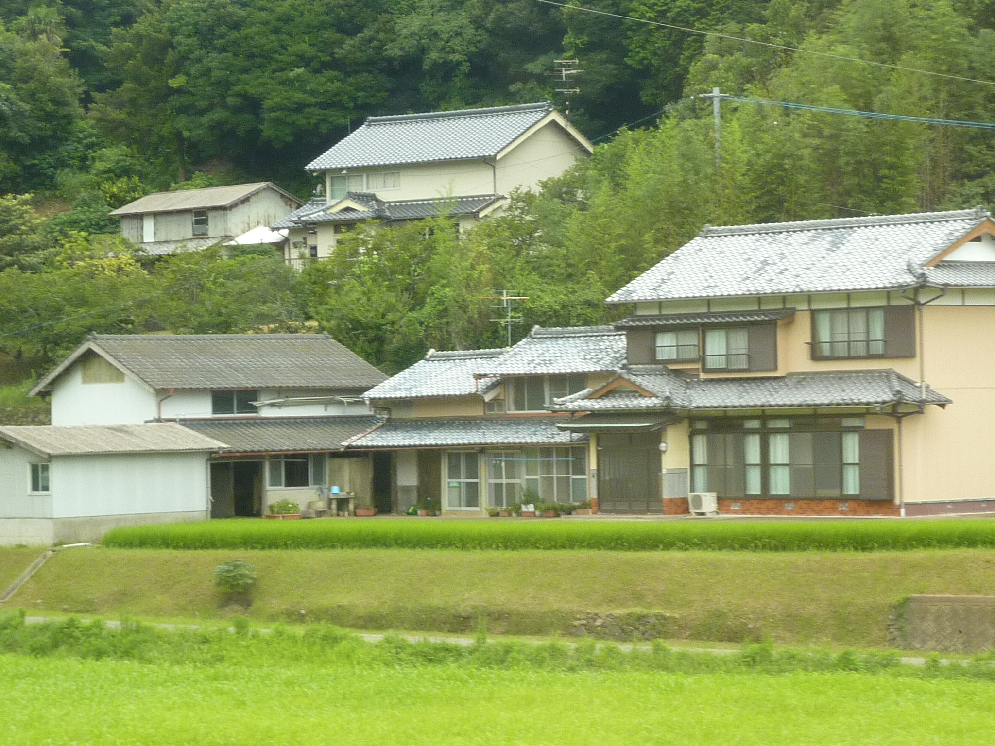 P1050057.JPG