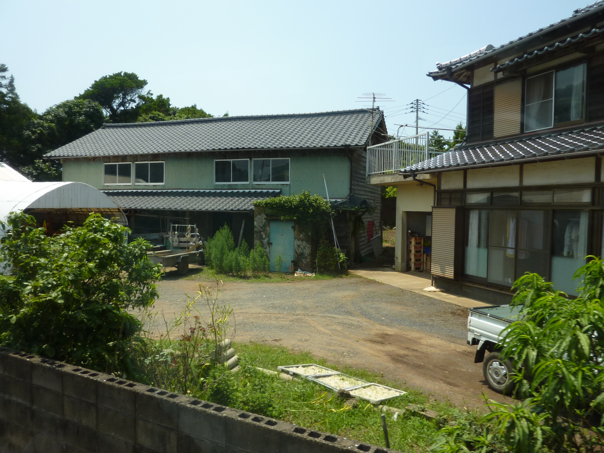 P1050075.JPG