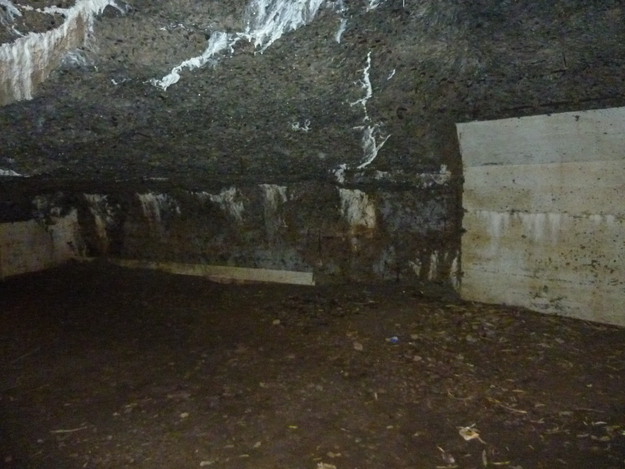 P1050079.JPG