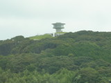 img0061.jpg