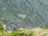 img0082.jpg