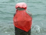 img0093.jpg