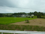 img0097.jpg