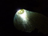 img0126.jpg