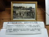 img0144.jpg